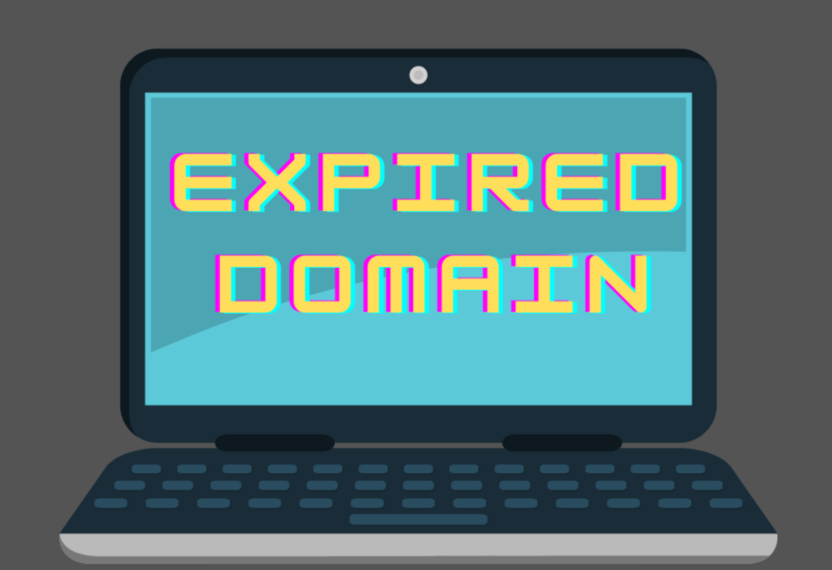 Maximize Your SEO with Leading Expired Domain Finder Tools