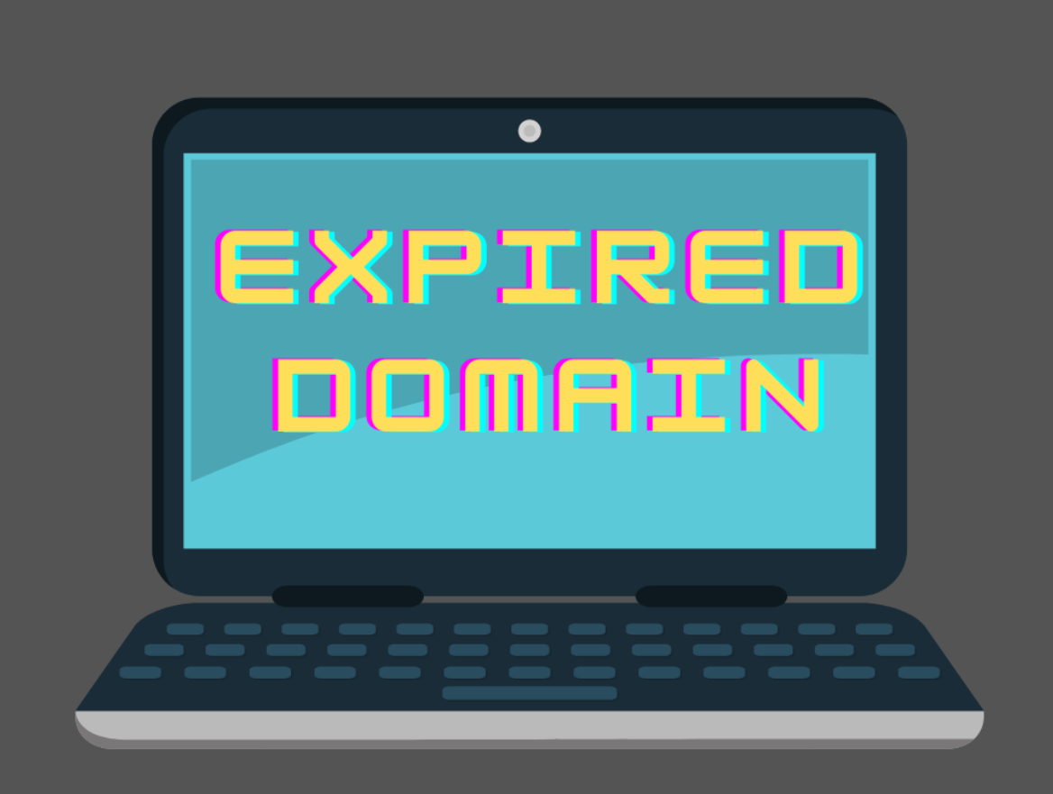 Maximize Your SEO with Leading Expired Domain Finder Tools